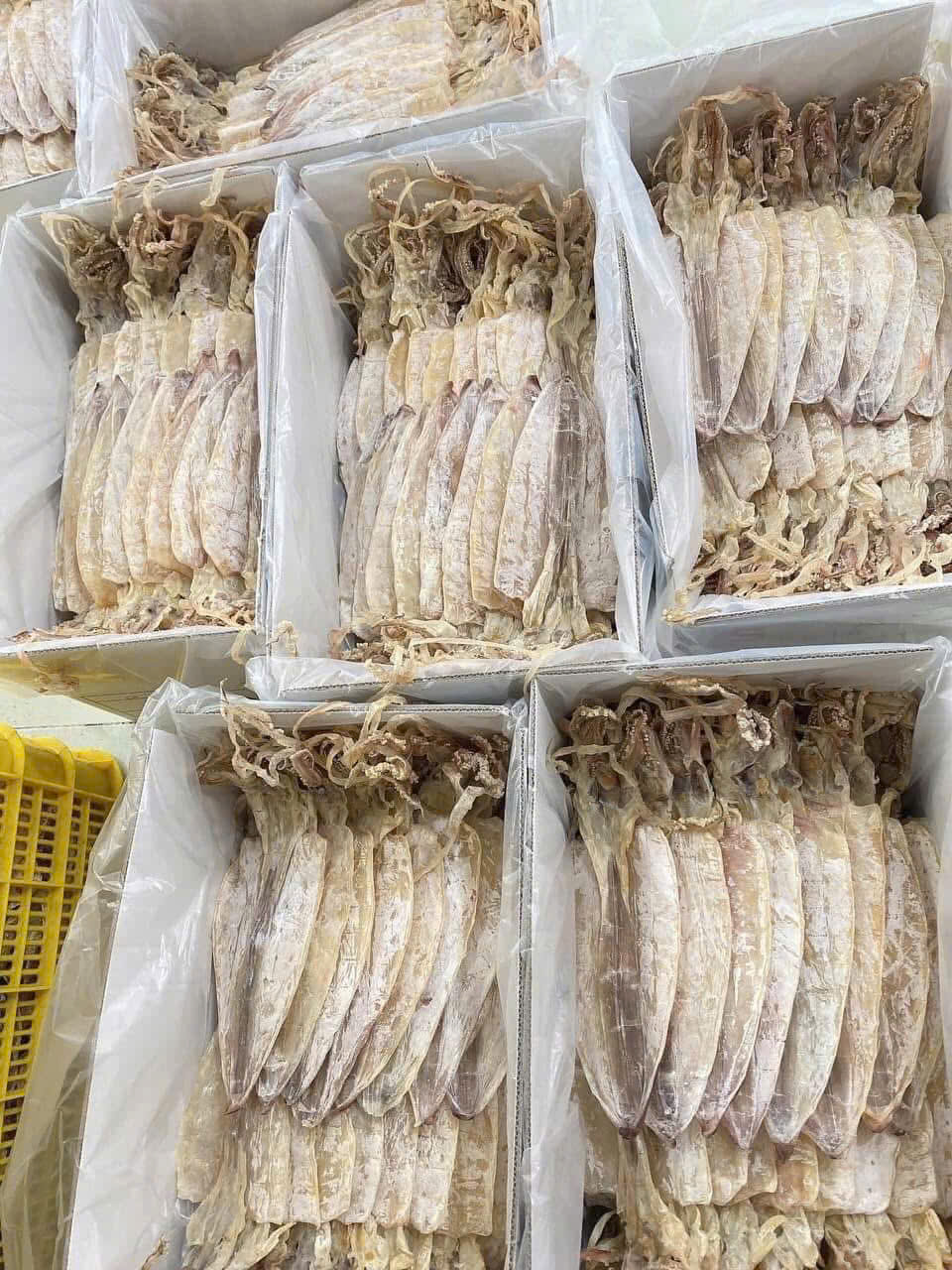Mực khô size 6-18 con